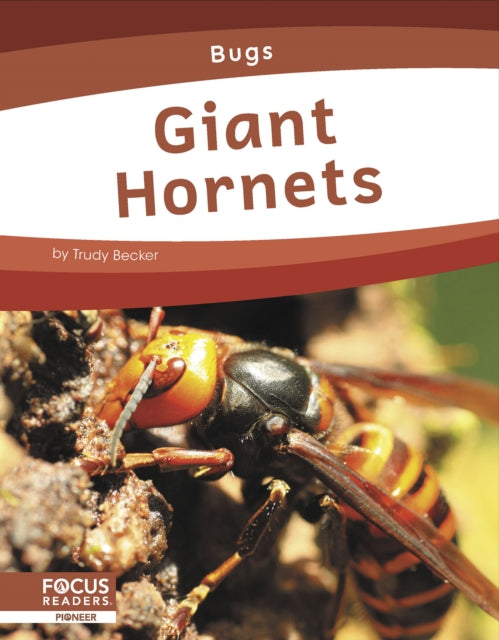 Bugs: Giant Hornets