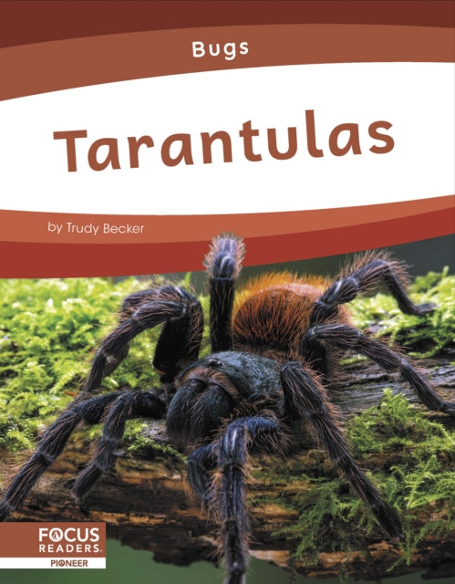 Bugs: Tarantulas