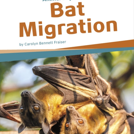 Animal Migrations: Bat Migration