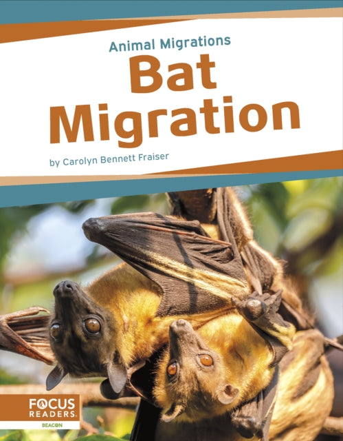 Animal Migrations: Bat Migration