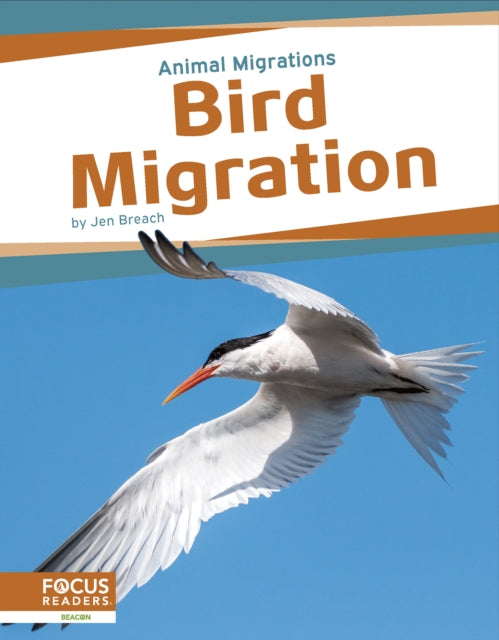 Animal Migrations: Bird Migration