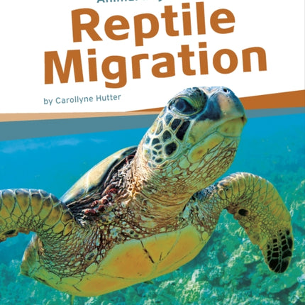 Animal Migrations: Reptile Migration