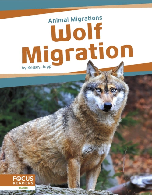 Animal Migrations: Wolf Migration