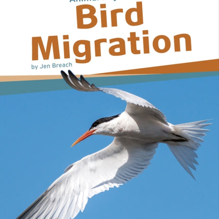 Animal Migrations: Bird Migration