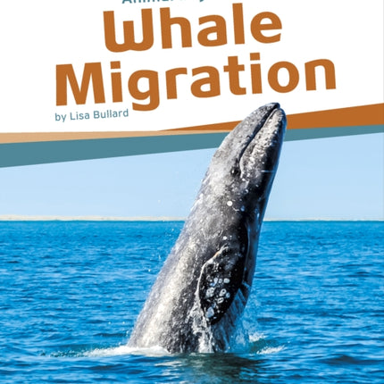 Animal Migrations: Whale Migration