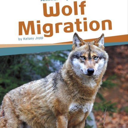 Animal Migrations: Wolf Migration