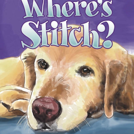 Where's Stitch?: When You've Lost Your Best Furry Friend