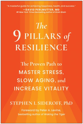 The 9 Pillars of Resilience