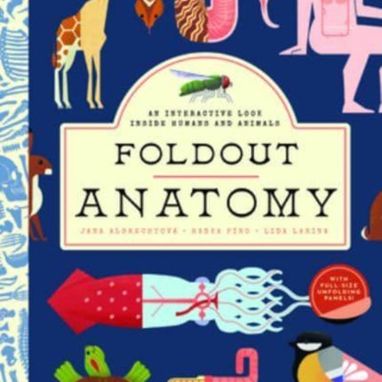 Foldout Anatomy