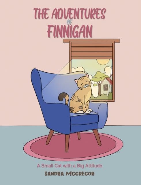 The Adventures Of Finnigan