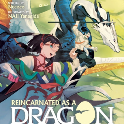 Reincarnated as a Dragon Hatchling Light Novel Vol. 6