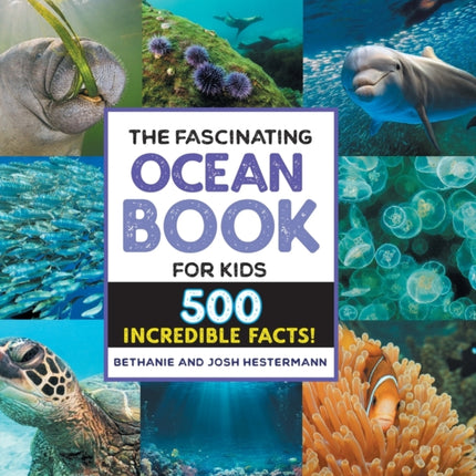 The Fascinating Ocean Book for Kids: 500 Incredible Facts!