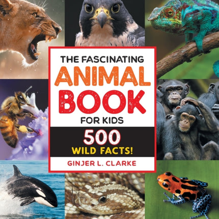 The Fascinating Animal Book for Kids: 500 Wild Facts!