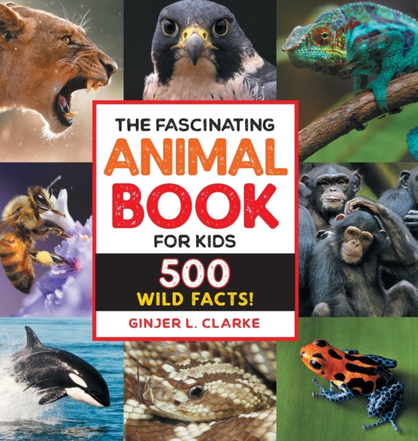 The Fascinating Animal Book for Kids: 500 Wild Facts!