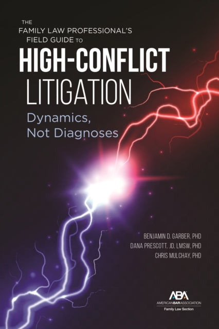 The Family Law Professional's Field Guide to High-Conflict Litigation: Dynamics, Not Diagnoses