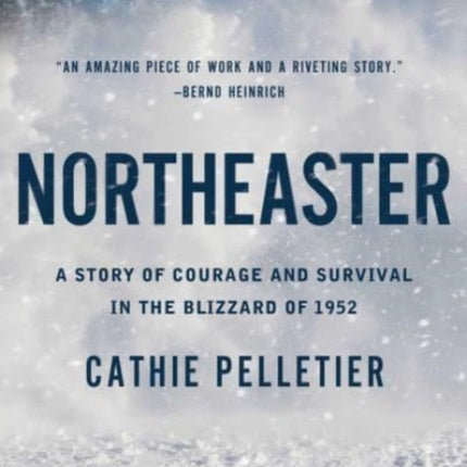 Northeaster