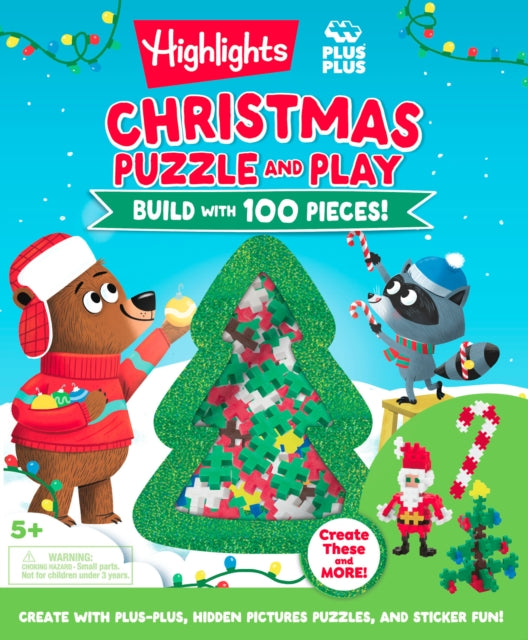 Christmas Fun Hidden Pictures  PlusPlus Blocks