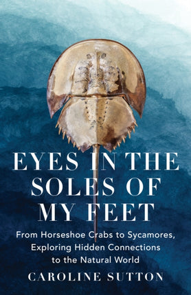 Eyes in the Soles of My Feet