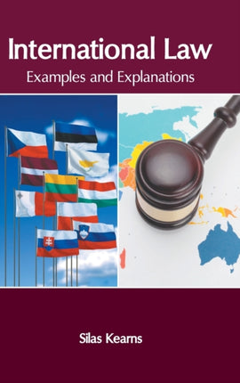 International Law: Examples and Explanations