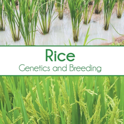 Rice: Genetics and Breeding