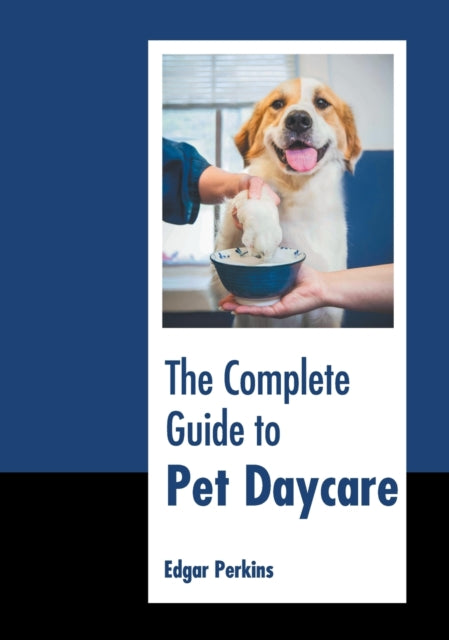 The Complete Guide to Pet Daycare