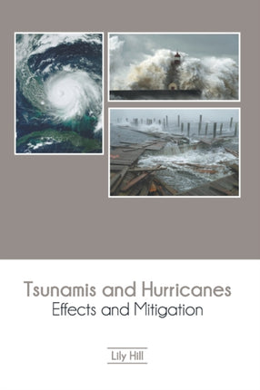 Tsunamis and Hurricanes: Effects and Mitigation