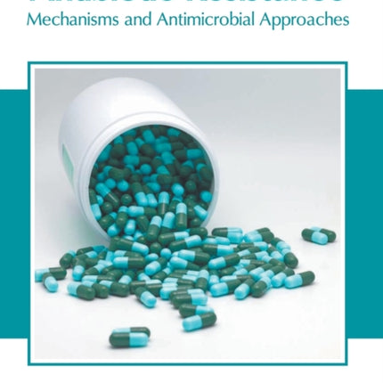 Antibiotic Resistance: Mechanisms and Antimicrobial Approaches