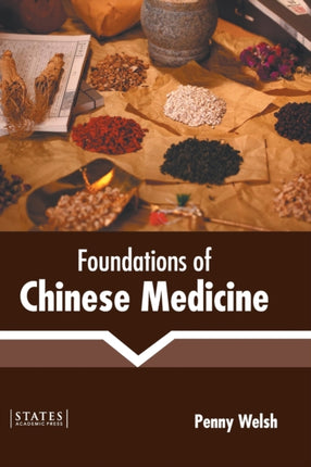 Foundations of Chinese Medicine