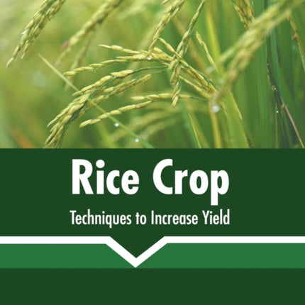 Rice Crop: Techniques to Increase Yield