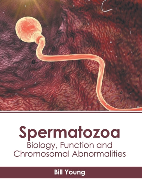 Spermatozoa: Biology, Function and Chromosomal Abnormalities