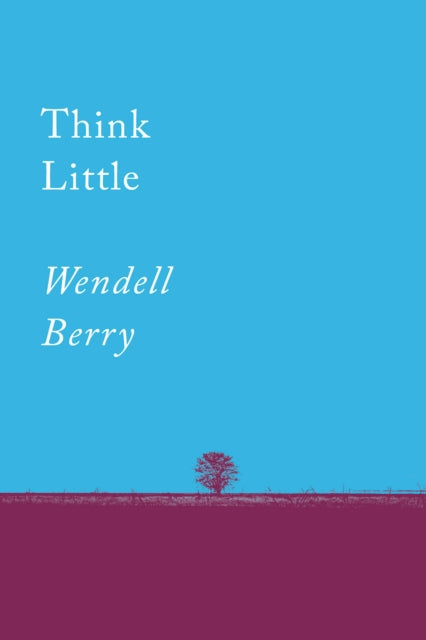 Think Little: Essays