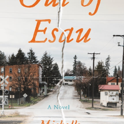 Out of Esau: A Novel