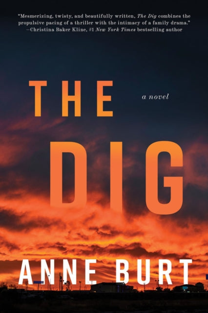 The Dig: A Novel