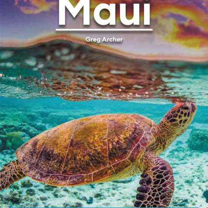 Moon Maui (Twelfth Edition): Outdoor Adventures, Local Tips, Best Beaches