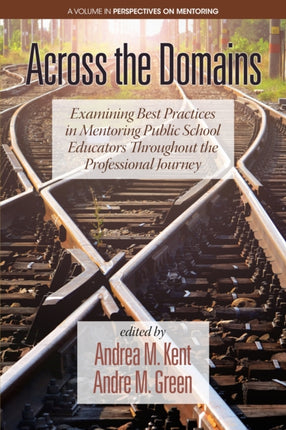 Across the Domains: Examining Best Practices in Mentoring Public School Educators throughout the Professional Journey