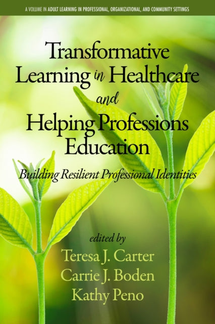 Transformative Learning in Healthcare and Helping