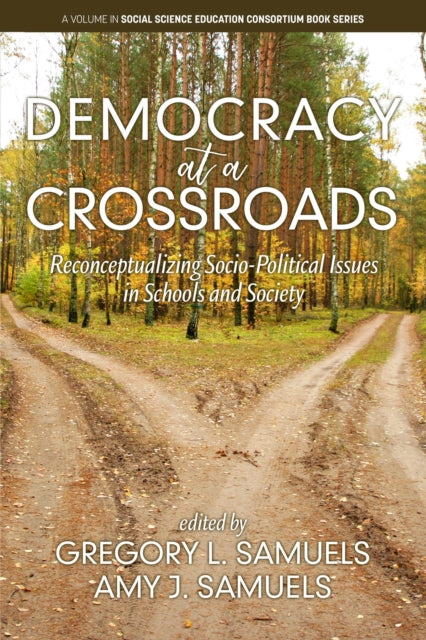 Democracy at a Crossroads: Reconceptualizing