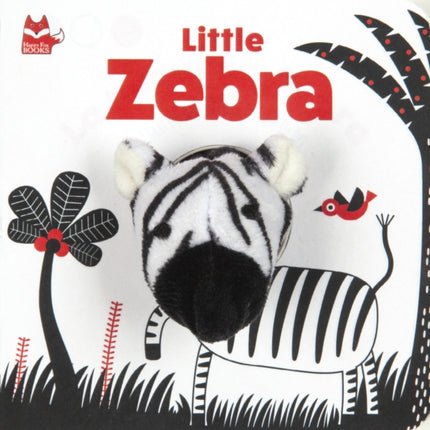 Little Zebra