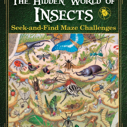 Insect SeekandFind Maze Challenge