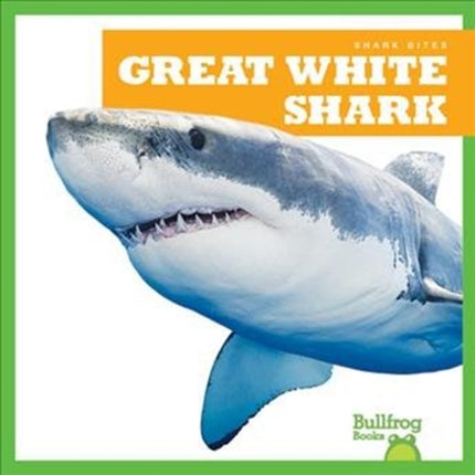 Great White Shark