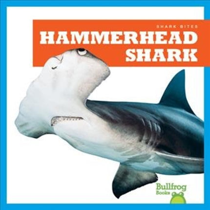 Hammerhead Shark