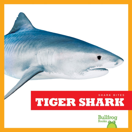 Tiger Shark