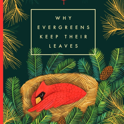 Why Evergreens Keep Their Leaves