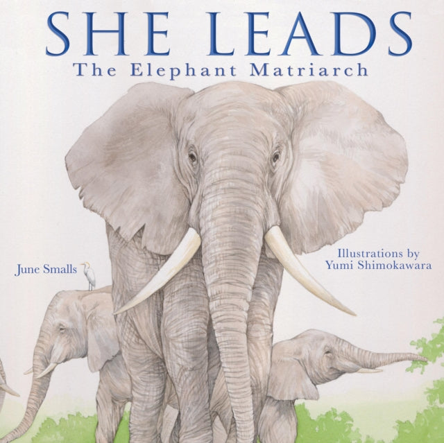 She Leads: The Elephant Matriarch