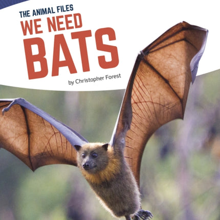 Animal Files: We Need Bats