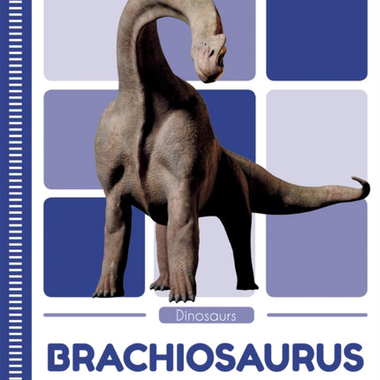 Dinosaurs: Brachiosaurus