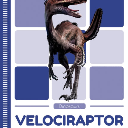 Dinosaurs: Velociraptor