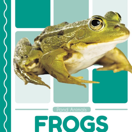 Pond Animals: Frogs