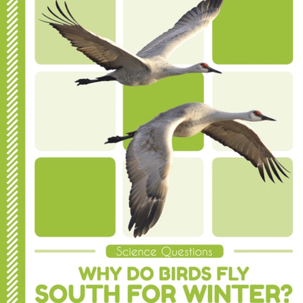 Science Questions: Why Do Birds Fly South for Winter?