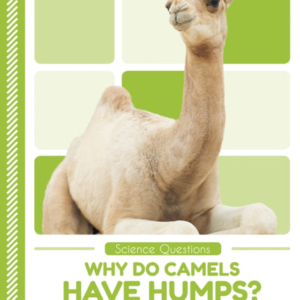 Science Questions: Why Do Camels Have Humps?